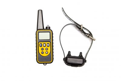 Dog Fence Installation