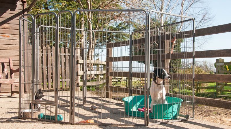 Dog Fence Installation