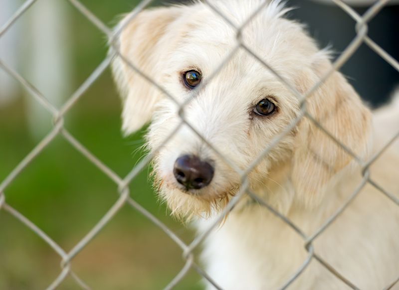 Maintenance Expectations